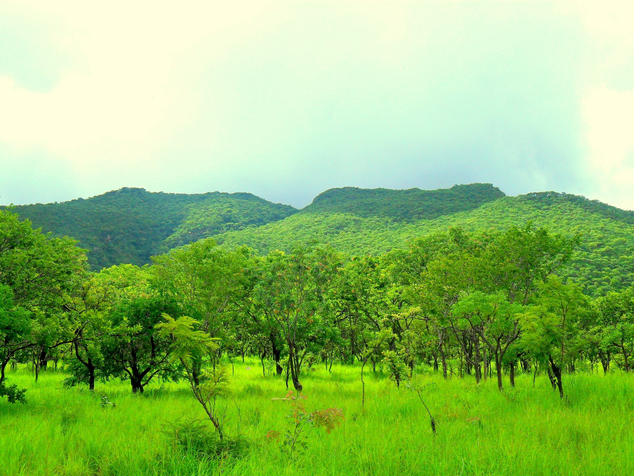Michiru Mountain